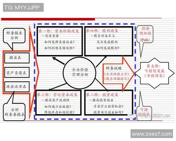 电竞管理学探讨电竞组织高效管理策略与实践方法